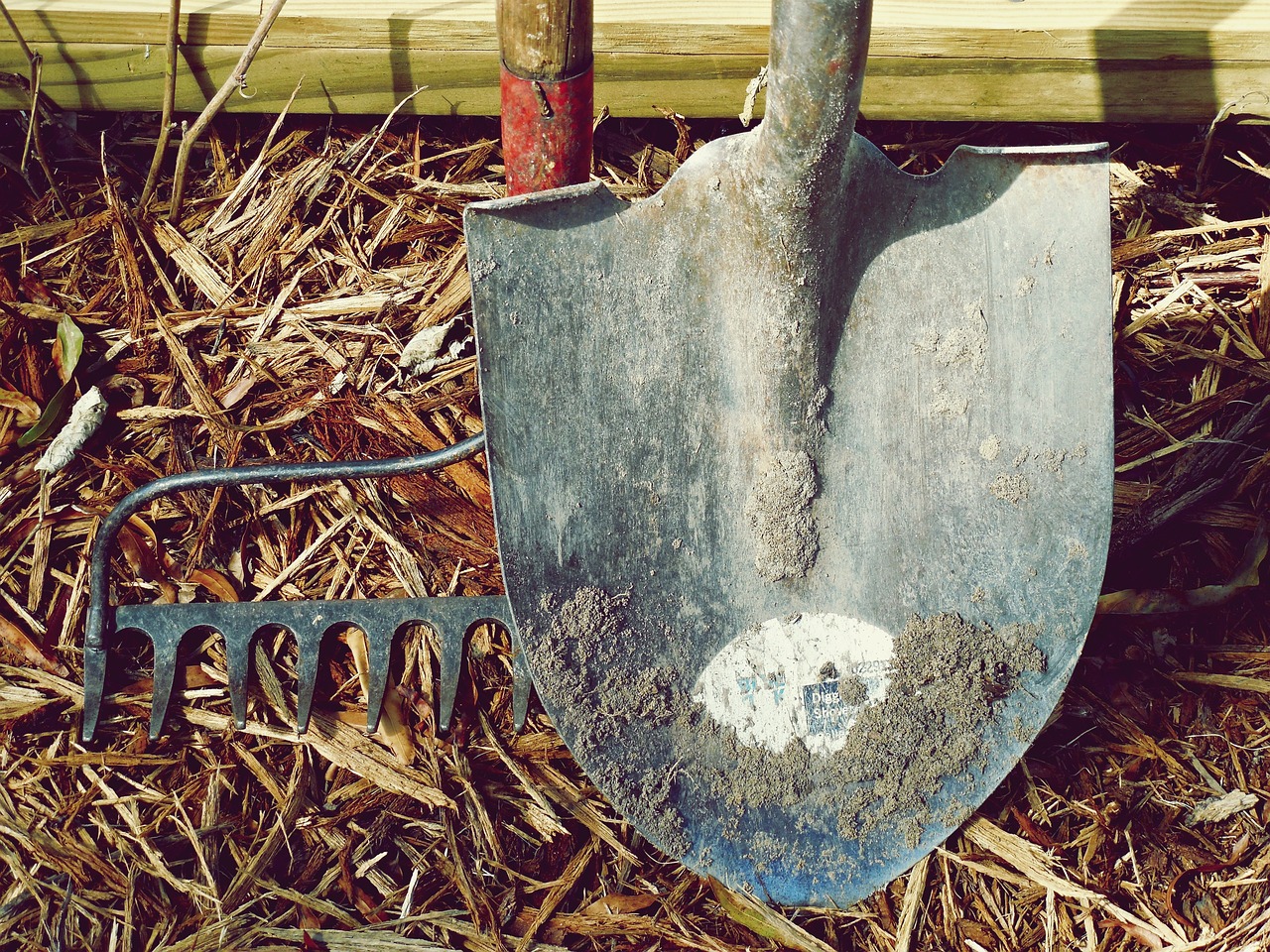 Tackling Complex Woodworking Projects for Beginners